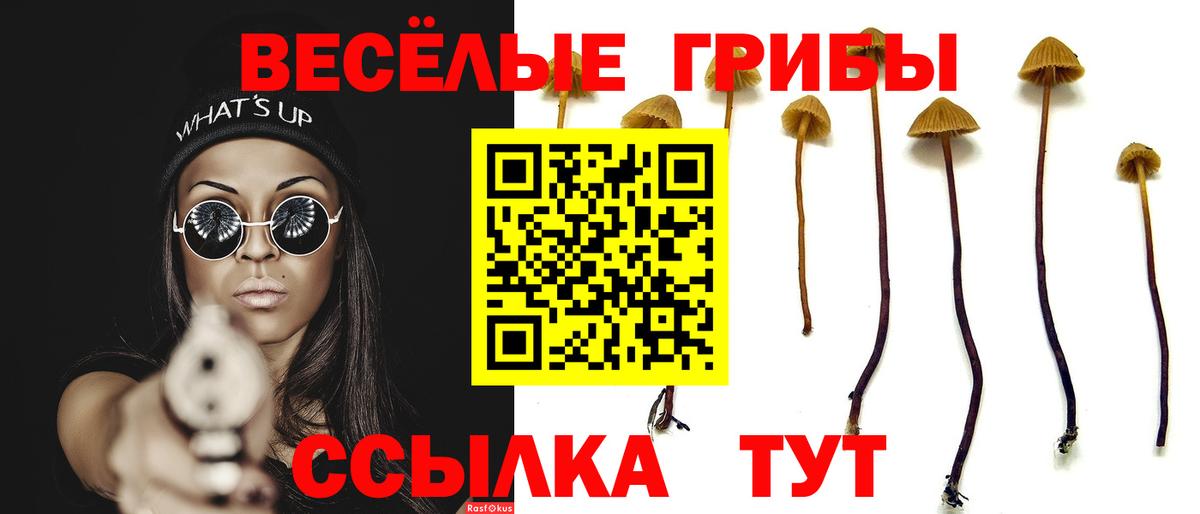 Галлюциногенные грибы Psilocybe  Вход с VPN  наркотики  Батайск 